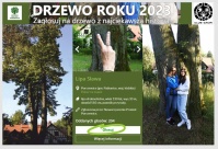 Głosujmy na Drzewo Roku 2023!